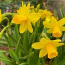 아픔이 사람을 키운다 이미지