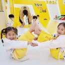 경희대 인하 태권도 이미지