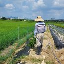 전식농장 이미지