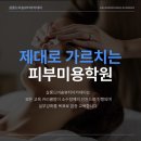 살롱(드)비숑