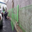 담장 | 담장 끊어진 철망펜스울타리 부분교체 후기