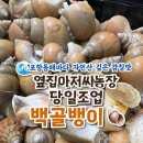 동해농장 | [🍶 홈술 술안주 추천] 🌊 동해 깊은 바다 자연산 100% 별미 ♥️, 옆집아저씨 농장 백골뱅이 백고동 🐚 후기✨❕