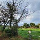 태영목장 이미지