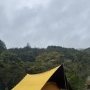 별의계곡 | 평창 별내림 계곡 캠핑장 후기