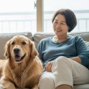 플럼라인생명과학 영업소 | “리뉴독 맞으면 진짜 다시 뛰어다니나요?”노령견 보호자들이 요즘 제일 많이 묻는 그 질문, 한 번에...