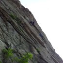 정옥농장 이미지