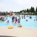 신정호야외수영장 이미지