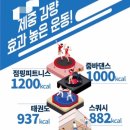 살빼고점핑다이어트