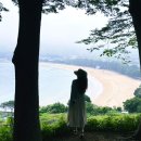상주은모래비치캠핑장 네이버블로그