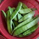 율촌농장 이미지