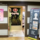 아리따운피부 이미지