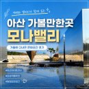 아산 가볼만한 곳 아산카페 모나밸리/가을에 다녀온 감성가득한 문화공간 후기