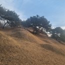 능안골고분군 화장실 | [국내 문화재 여행] 부여 능안골 고분군