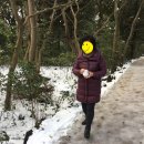 블루밍 스파앤풀빌라 이미지