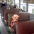 더웨이브온(구. 휴일) | 2025 매력일자리 9개월 참여 후기ㅣ일경험 및 취·창업 지원 A to Z