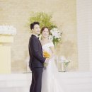 정찬홍웨딩 이미지