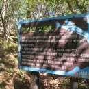 로얄파크텔 이미지