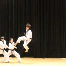 경희대 웅비 태권도 이미지