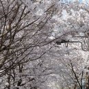 노작공원(오산천변) 이미지