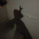 남사약국 이미지