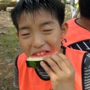 솔향태권도 이미지