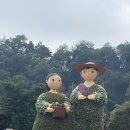 사슴상회 | 2025 청원생명축제 후기 먹고보고즐기기 좋은 청주축제