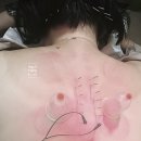 목동공감한의원 | [ 일상 / 목표설정 ] 매경테스트 결과 보고 목동 다이어트 한의원 간 이유