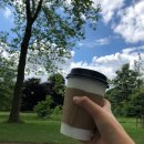 카페피시후 이미지