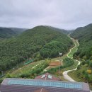 주식회사현대수리조트 | 현대홈쇼핑 패키지/하이원리조트마운틴콘도조식 후기