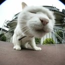 안테나메디컬 이미지