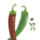 청양에너지 이미지