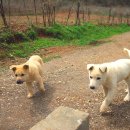 멍순농장 이미지