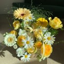 반송동271 | [동탄꽃집]싱싱함이 오래가서 만족했던 화성꽃집, 플로모네