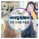 세월천로 | 인천 산곡동 미용실 :: 아이딜릭헤어 혜린디자이너 애쉬카키 염색 후기