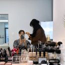 아이제이뷰티 이미지