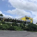 알콩제주 이미지