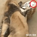 송국농장 네이버블로그
