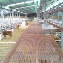 원당농장 이미지