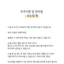 이룸뷰티 - 중구 | 이룸뷰티