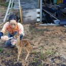 천시원교육농장 이미지