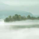 안개로가로수 이미지