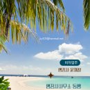 중앙합동행정사사무소 | [행정사사무소 동행] 103. 외국인 근로자 고용제한 처분 구제 및 행정쟁송 실무 전략