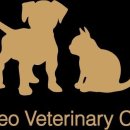 진서동물병원 이미지