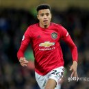 그린우드 이미지