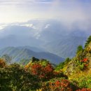 지리산밧데리 이미지