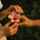 매일여인숙 이미지