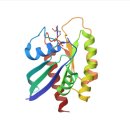 경이와 통찰 : 위대한 연구는 무엇으로 시작되는가? | 로버트 와인버그 논문: 바이러스와 인간 암 유전자는 정말 같을까? 바이러스와 인간 유전자의 놀라운...