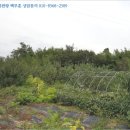 제석1리마을회관 이미지