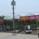 은숙농장 이미지