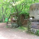 한라산둘레길 사려니숲길 이미지